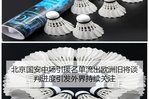 北京国安中场引援名单流出欧洲旧将谈判进度引发外界持续关注